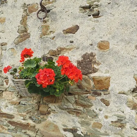 Les Grands-aulnais Bed and breakfast Cossé-le-Vivien