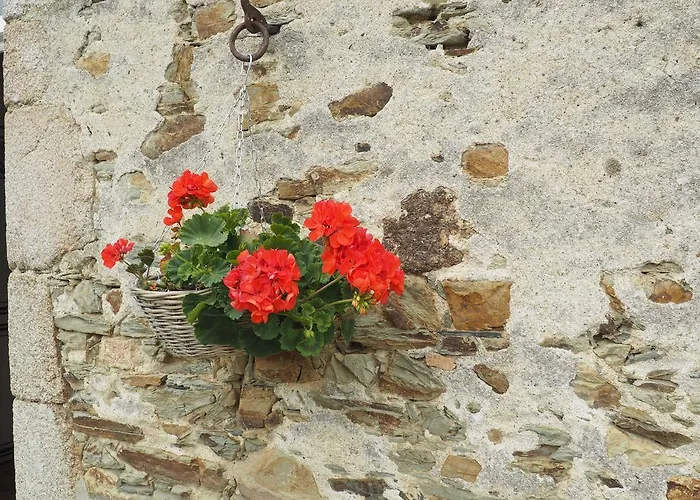 Les Grands-aulnais Oda ve Kahvaltı Cossé-le-Vivien